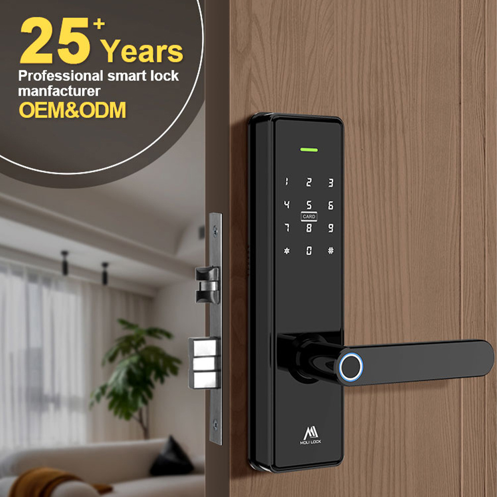 Competitive Price Smart Lock Automatic Home Electronic Locks Smart  System Glass Door Lock