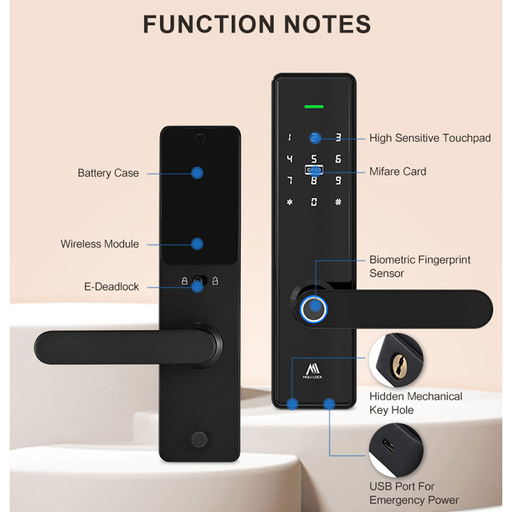 Competitive Price Smart Lock Automatic Home Electronic Locks Smart  System Glass Door Lock