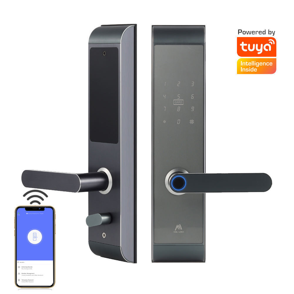 Biometric Lock Fingerprint Digital Application Unlocks Door Handle  Apartment Smart Lock