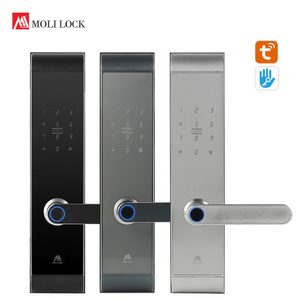 Full Automatic Tuya App Smart Lock Fingerprint Password Rfid Card Wifi App Digital Door Lock