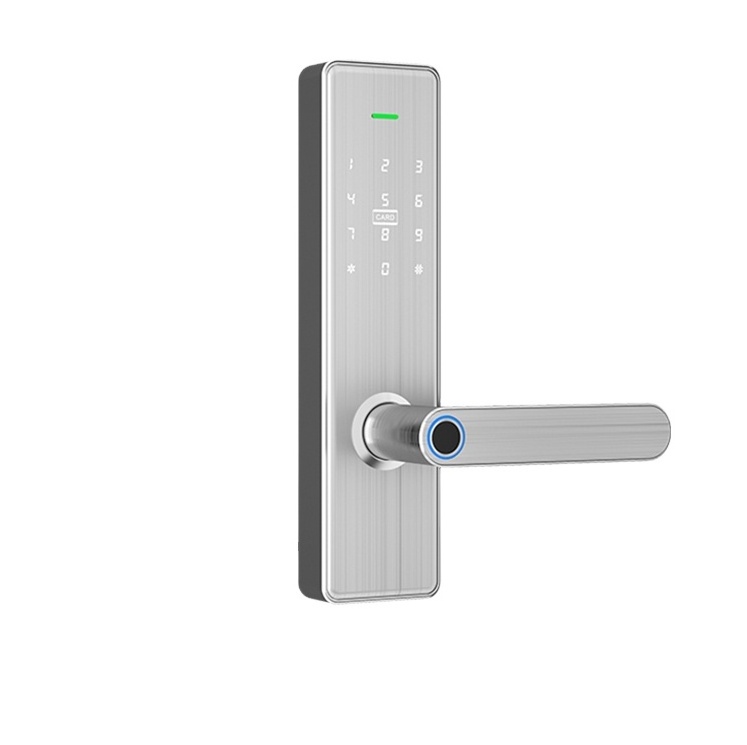 outdoor fingerprint  biometric electronic digital door lock Korean style APP function