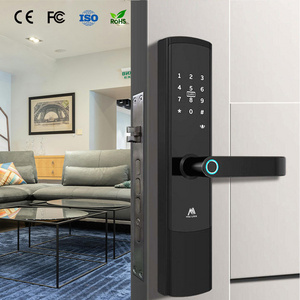 High Security Door Lock System Smart Home Lock System Full Automatic Security Door Lock System