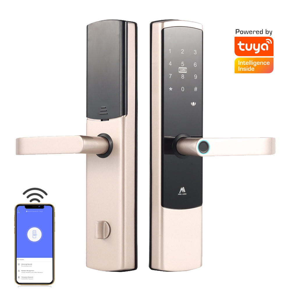 Good Functions Smart Biometric Lock Fingerprint Oem Black Champagne Gold Door Tuya Smart Lock