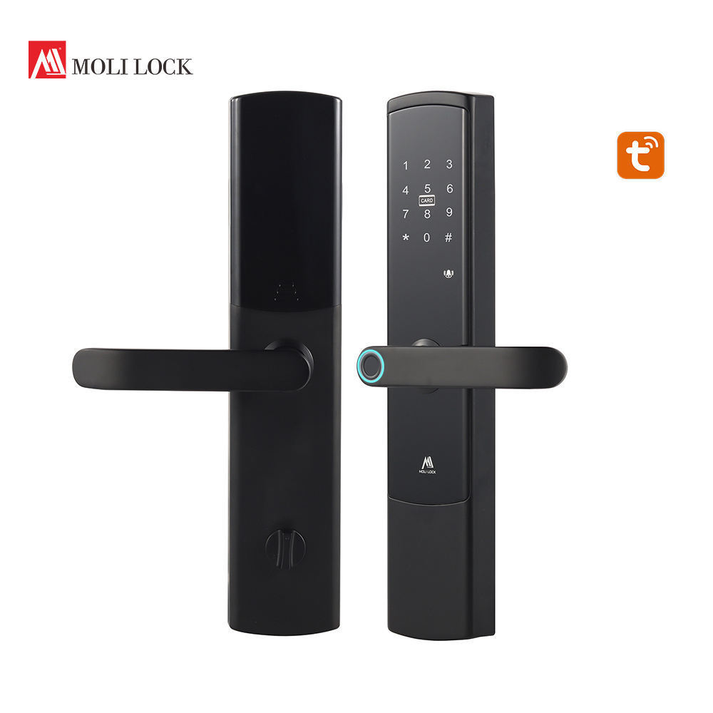 High Security Door Lock System Smart Home Lock System Full Automatic Security Door Lock System