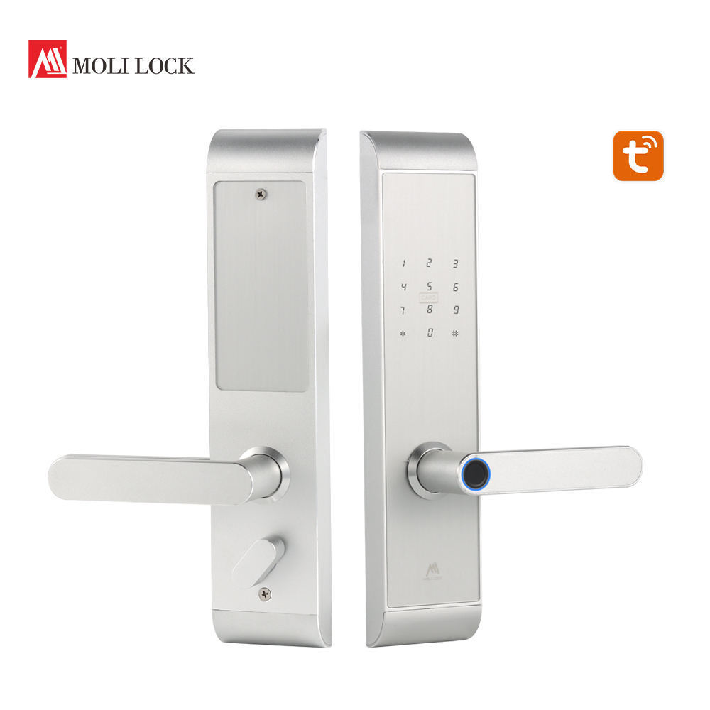 Factory Price Intelligent Electronic Door Handle Smart Lock Deadbolt Fingerprint Smart Lock Digital Password Entry Code