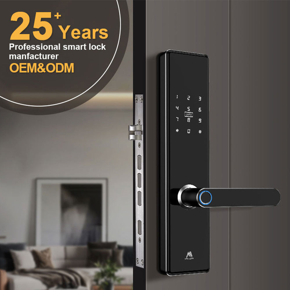 Biometric Intelligent Ttlock Smart Biometric Cerradura Fingerprint Eletronic Door Lock For Home Hotel Apartment