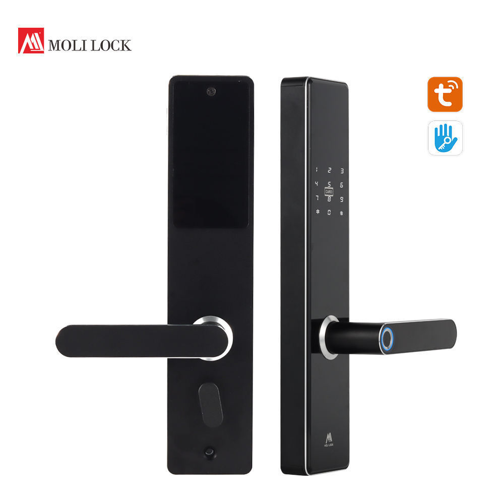 Biometric Intelligent Ttlock Smart Biometric Cerradura Fingerprint Eletronic Door Lock For Home Hotel Apartment