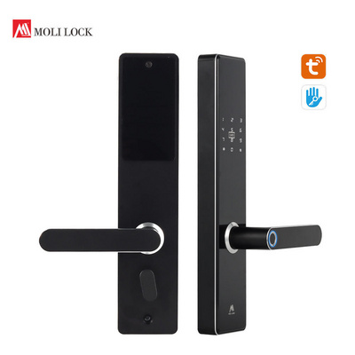 Biometric Intelligent Ttlock Smart Biometric Cerradura Fingerprint Eletronic Door Lock For Home Hotel Apartment