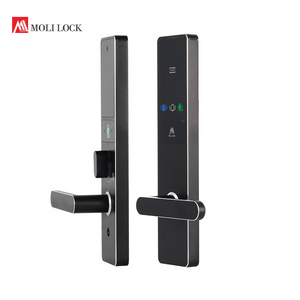 Rfid Card Hotel Room Smart Door Lock With Management Software System By Keys And Smart Cards Space Aluminum Door Lock