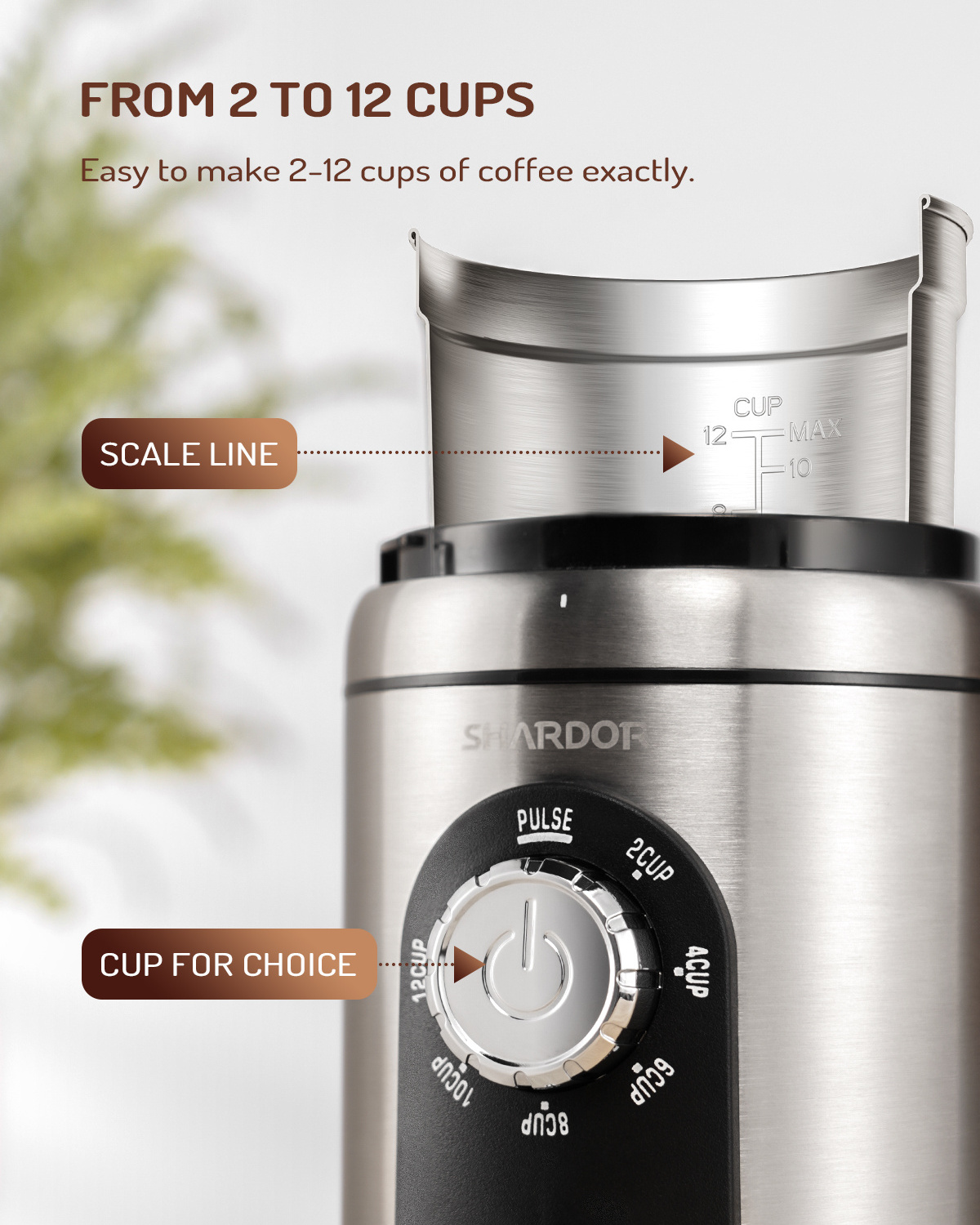 Beans Spices and More Multiple Grind Settings for up to 14 Cups 2 Removable Stainless Steel Grinder