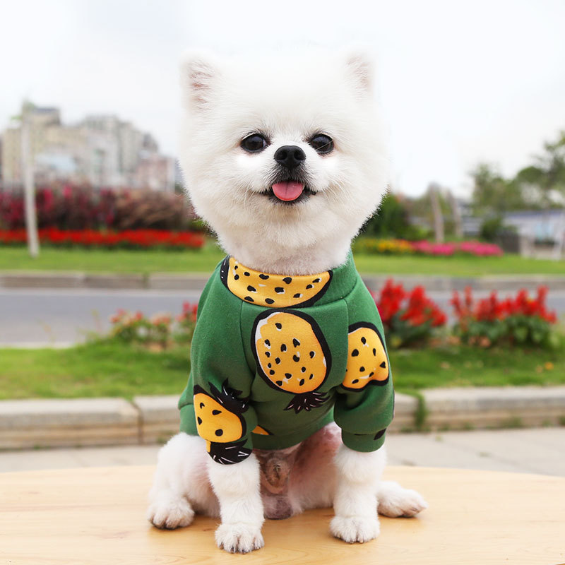 China Factory Classic Fashion2021 Wholesale Popular Hot Pet Accessories Warm Coat Large Dog Apparel Pet Clothes Dog Clothing