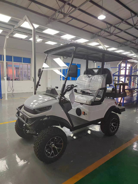 New energy 2 seats electric golf cart electric scooter club car zone golf buggy for Scenic Area and Golf Course to pick up