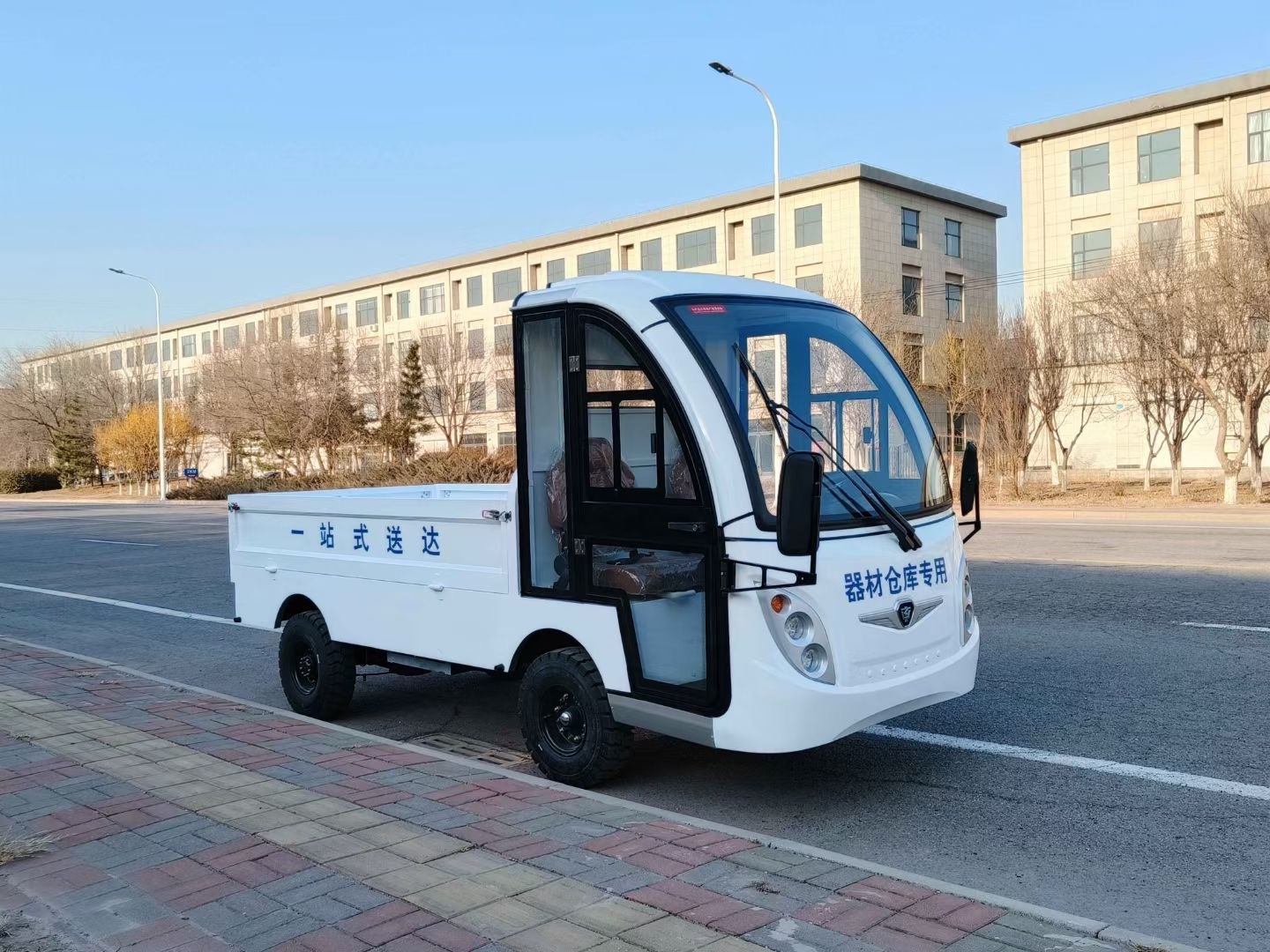 Tourist Electric Shuttle Buggy Chinese Cheap Mini Electric Cars Sightseeing Personal Shuttle Bus