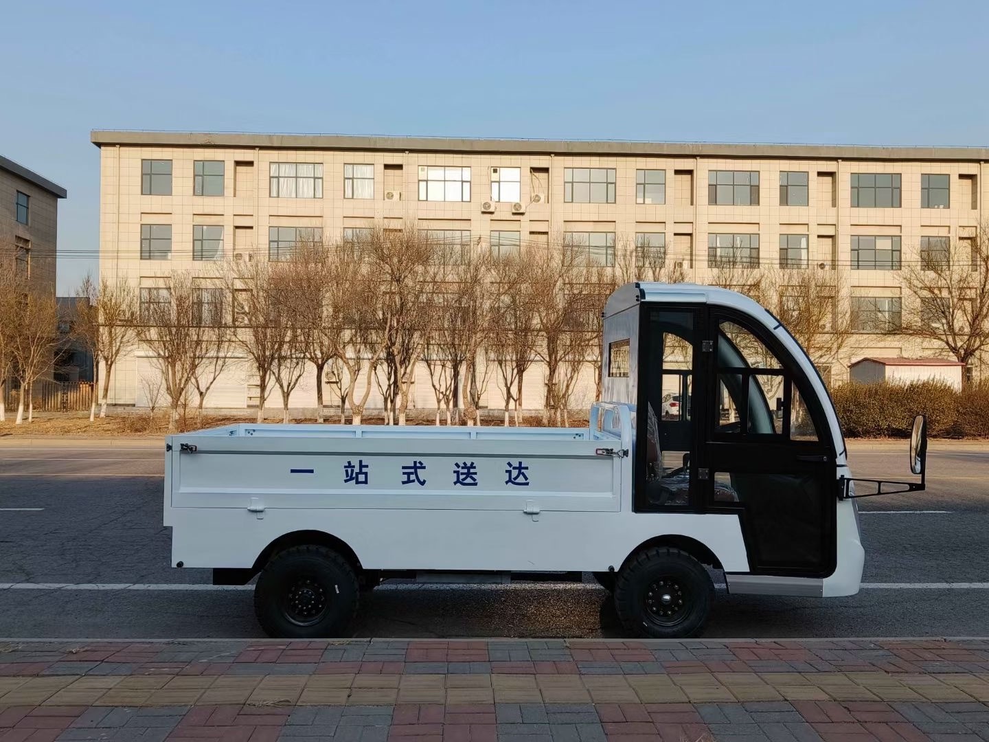 Tourist Electric Shuttle Buggy Chinese Cheap Mini Electric Cars Sightseeing Personal Shuttle Bus