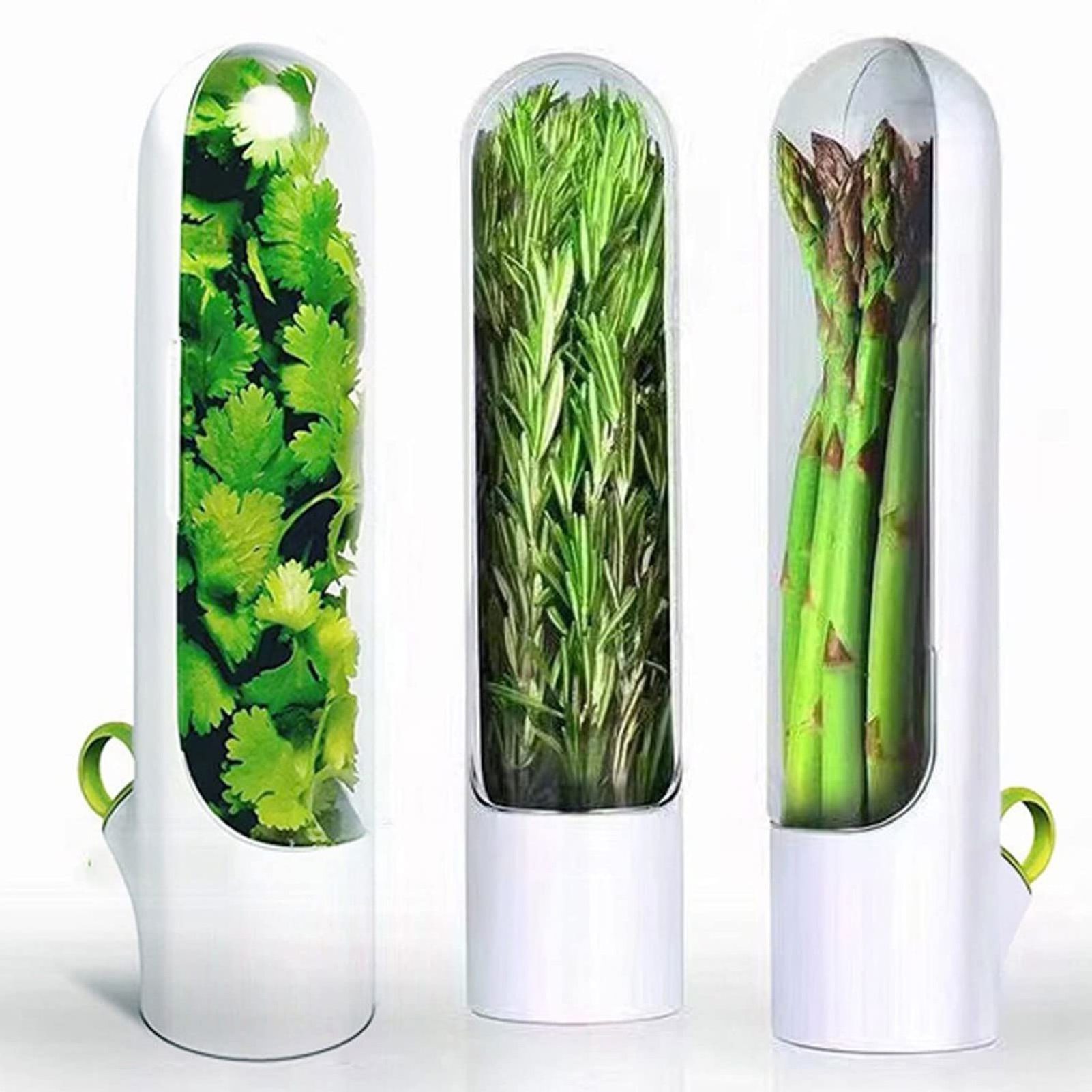 Cilantro Mint Parsley Asparagus Container Fresh Herb Storage Keeper Preserver Herb Saver For Refrigerator