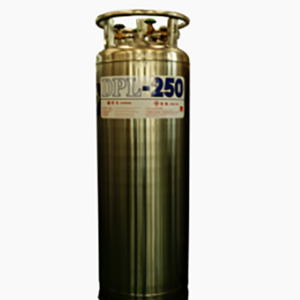 Cylinder liquid Dewar Cylinder nitrogen cryotherapy from Gas Generation Equipment Supplier or Manufacturer