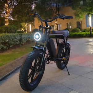 2023 OUXI V8 Electric Dirt Bike with 48V Rechargeable Battery Original US Warehouse 20 Inch Fat Tire Bike for Adults