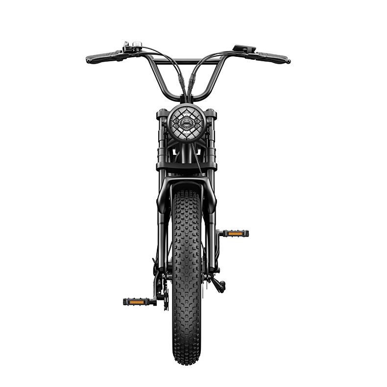 Emoko C91 Electric Super Powerful Max Speed 50km 1000w Motor Adult Bicycle Ele 20 Inch Off Road Fat Tyre 48v 70km Electric Bike