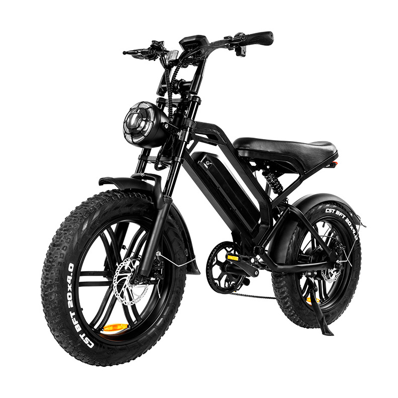 Good Quality 7 Speed Strong Electric Bicycle Lithium Battery 48v Electric Bicycle 48V Electric Bike Fat Tire