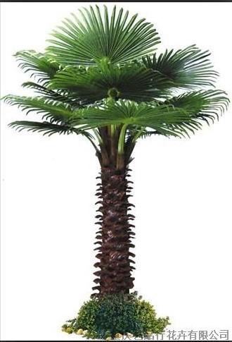 artificial palm tree fronds of artificial palm tree and artificial areca palm tree