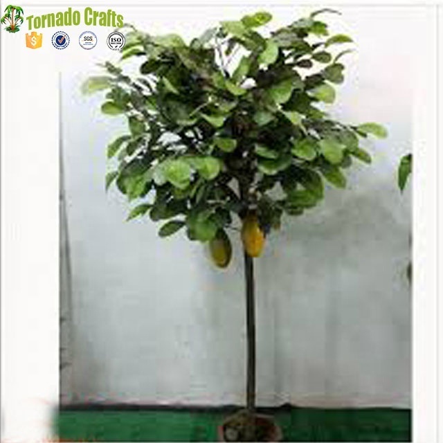 Artificial Cocoa Fruit Trees Bonsai Green Tree for Decoration