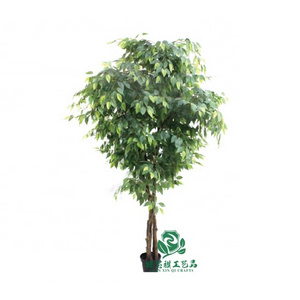 zhen xin qi crafts  150 Cm Banyan Indoor Bonsai Silk Plant Trees Wholesale Plastic Plants In Pots