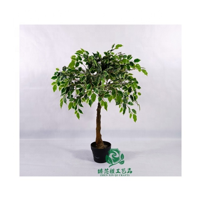 zhen xin qi crafts  Factory price Banyan Indoor Bonsai Silk Plant Trees in pot