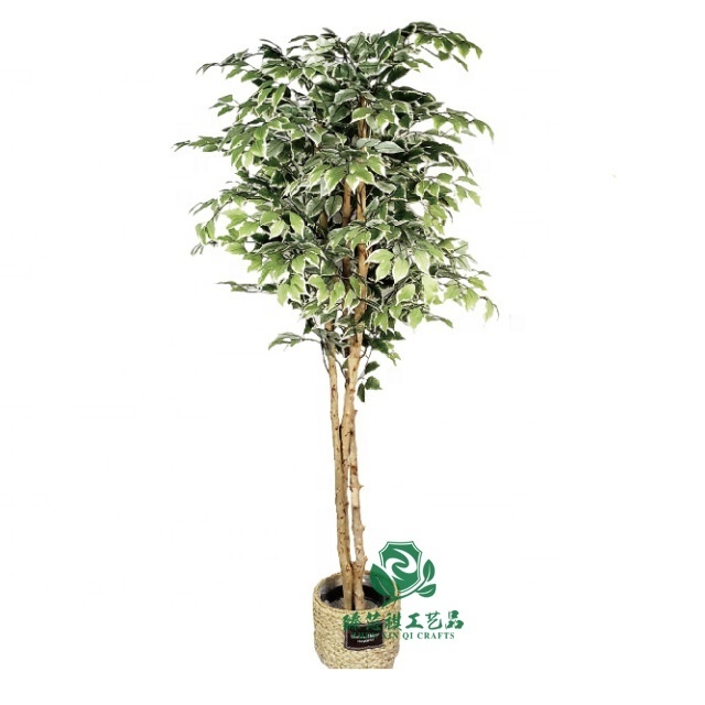 zhen xin qi crafts  150 Cm Banyan Indoor Bonsai Silk Plant Trees Wholesale Plastic Plants In Pots