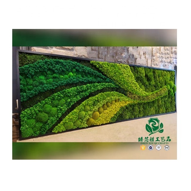 Zhen xin qi crafts   preserved forest moss decorative preserved artificial moss wall panel