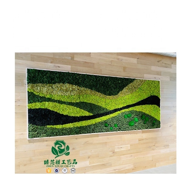 Zhen xin qi crafts   preserved forest moss decorative preserved artificial moss wall panel