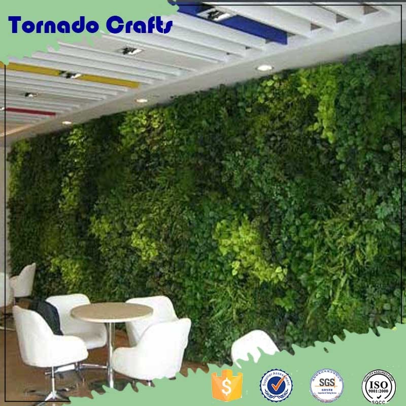 zhen xin qi crafts wall hang plant for outdoor decorative/green wall/artificial grass wall