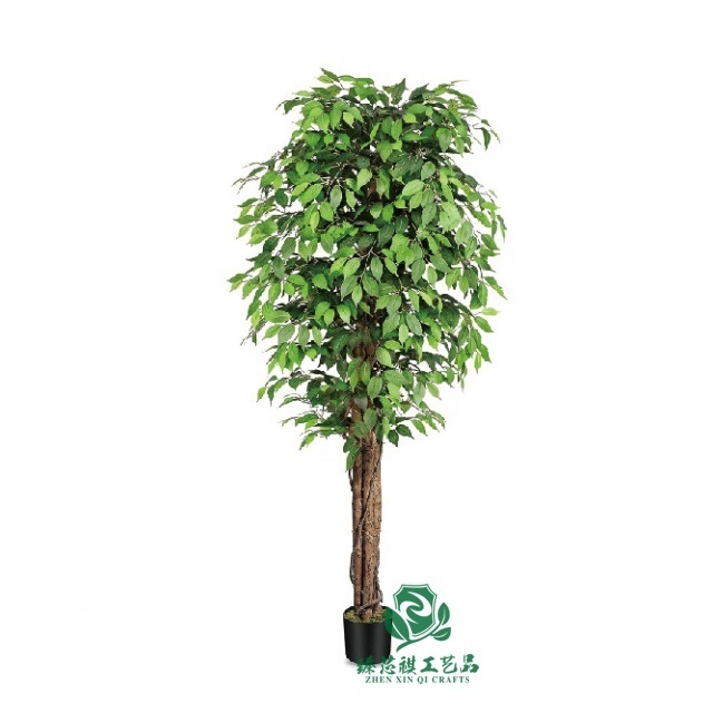 zhen xin qi crafts  Factory price Banyan Indoor Bonsai Silk Plant Trees in pot