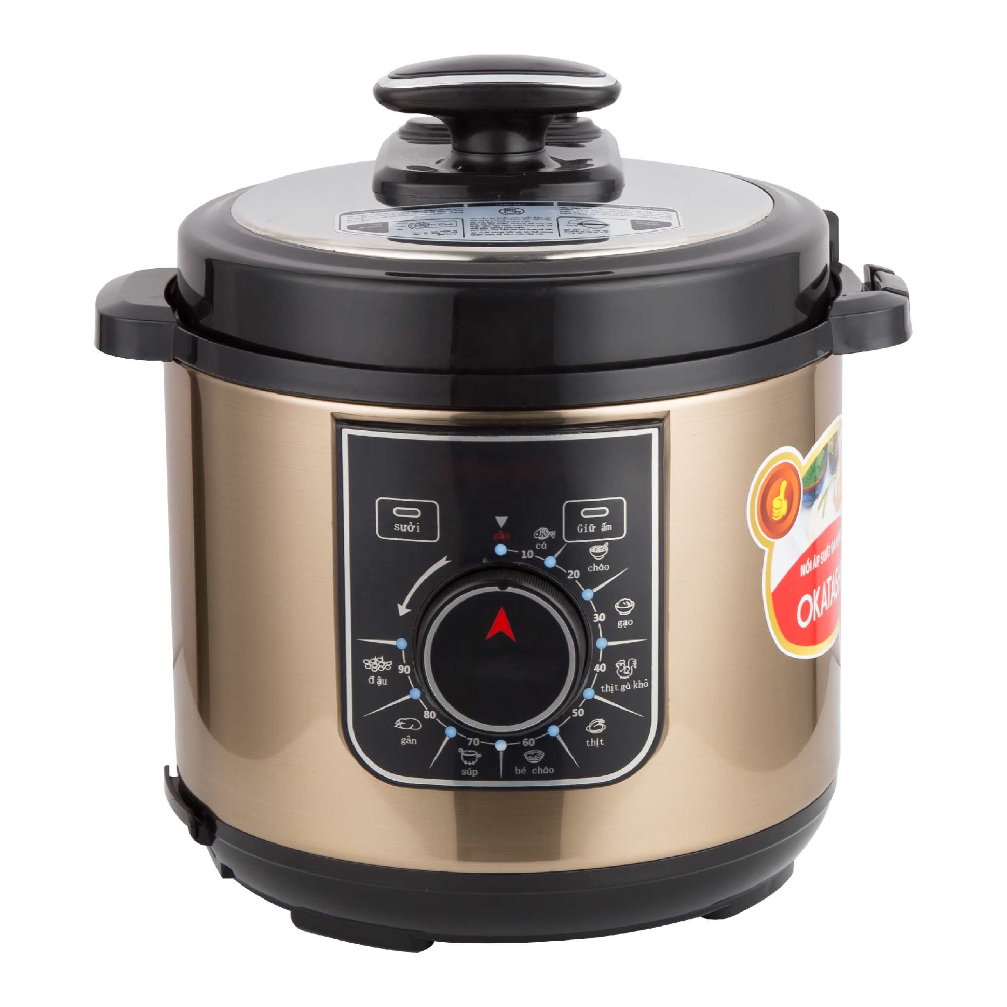 Mechanical Hot Sale CE CB Electric Multi Pressure Cooker Stainless Steel Pot Rice Cookers