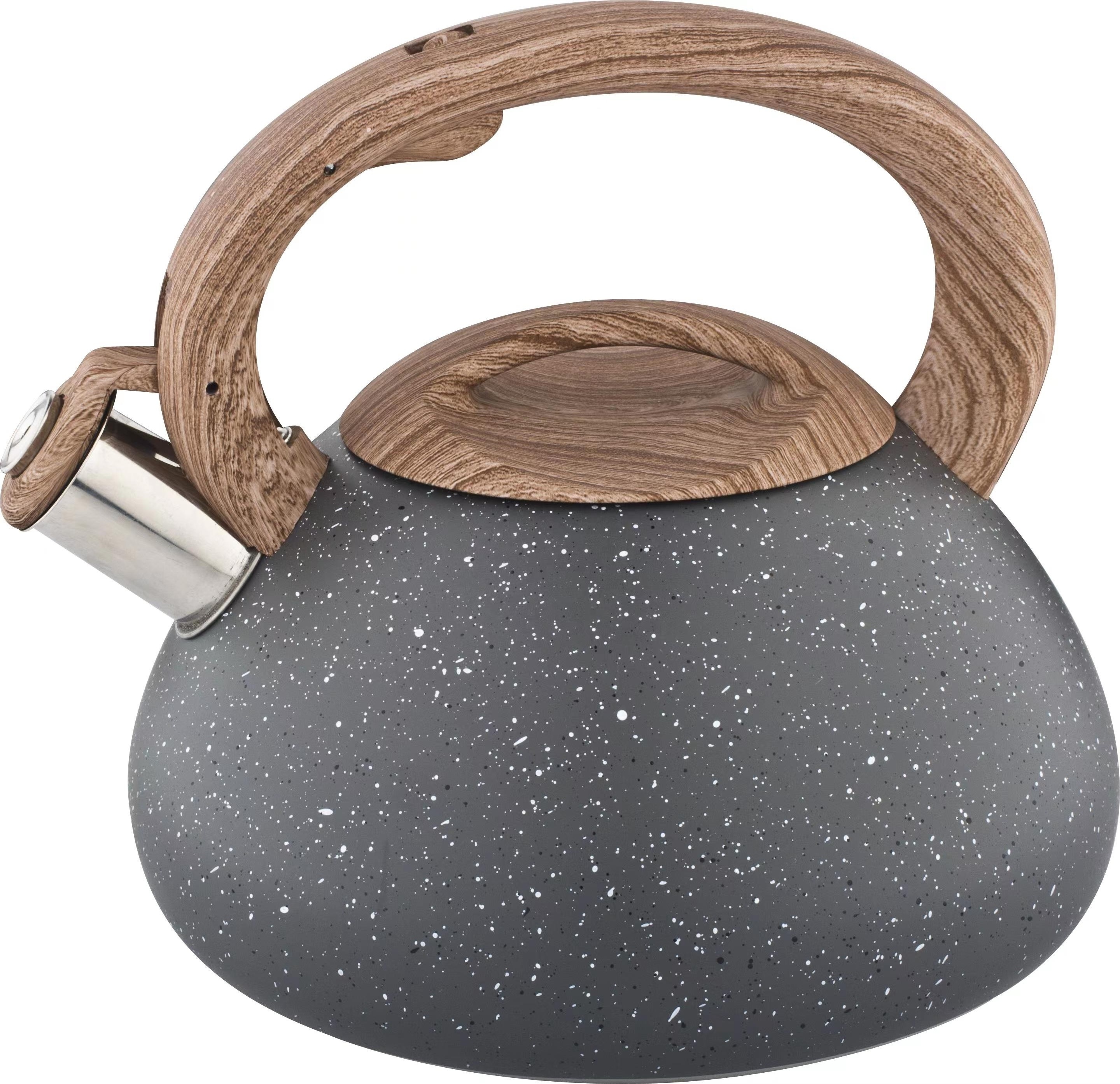 New Stainless Steel Whistling Tea Kettle Unique Tea Kettle With Color Painting Water Kettle