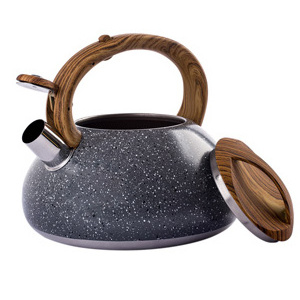 New Stainless Steel Whistling Tea Kettle Unique Tea Kettle With Color Painting Water Kettle