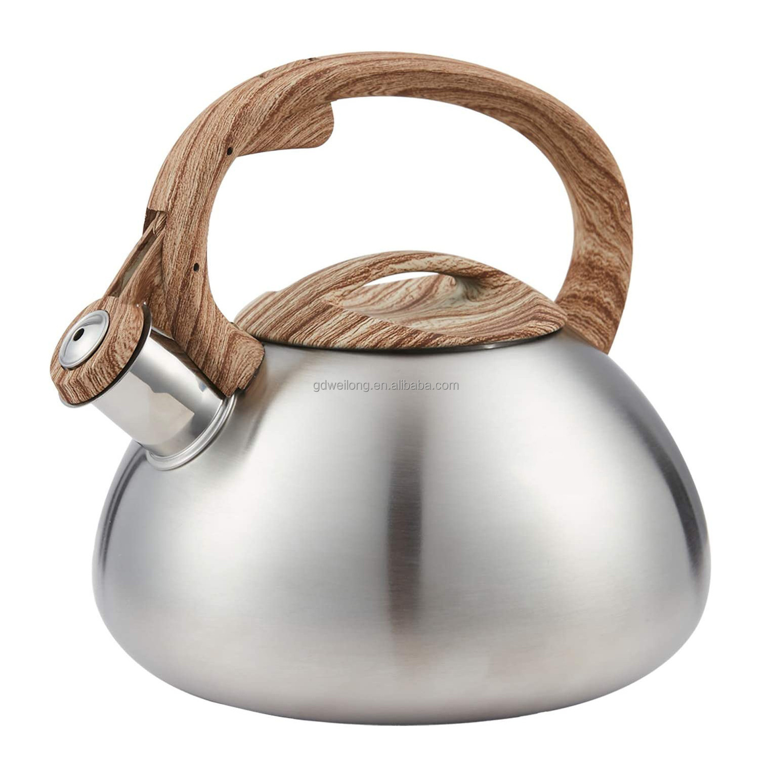 New Stainless Steel Whistling Tea Kettle Unique Tea Kettle With Color Painting Water Kettle