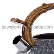 New Stainless Steel Whistling Tea Kettle Unique Tea Kettle With Color Painting Water Kettle