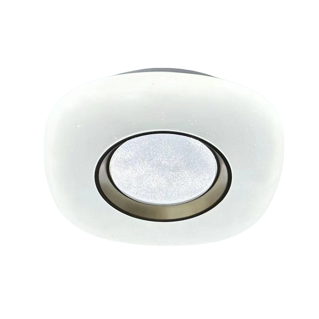 10Inc16Inch Hot Selling Bedrooms Kitchens Round Flush Mount Ceiling Lamp Fixture Dimming Led Ceiling Light