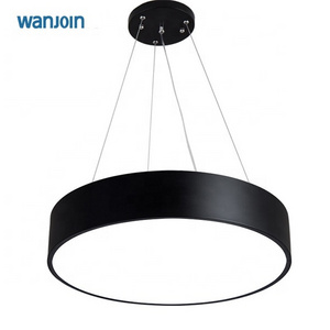 RGB changeable decorative round ceiling pendant lamp with remote control Intelligent LED Linear Light