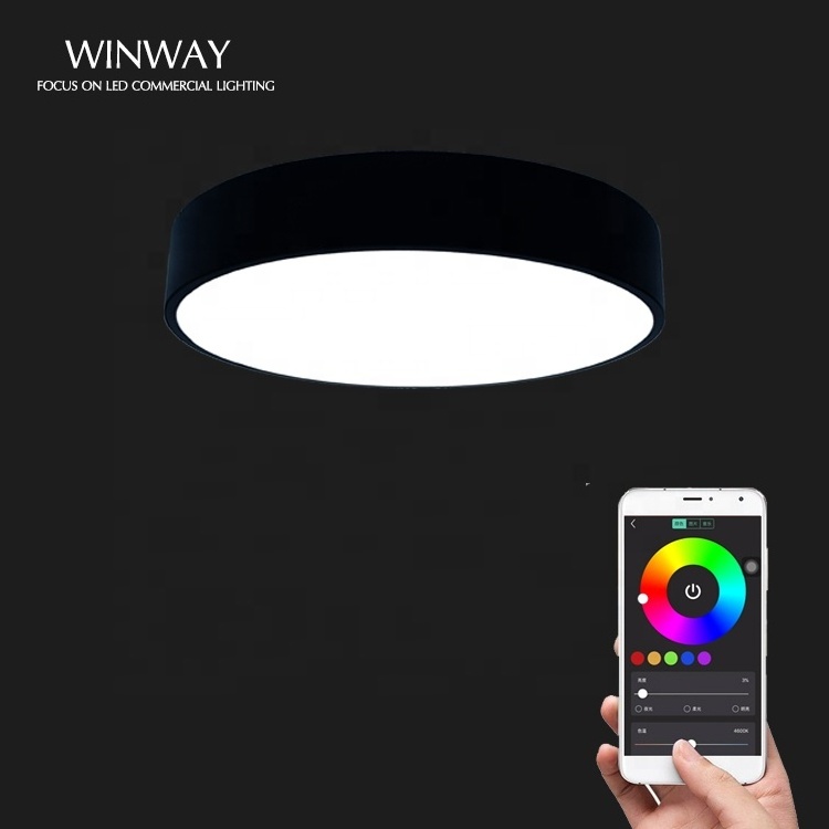 RGB changeable decorative round ceiling pendant lamp with remote control Intelligent LED Linear Light