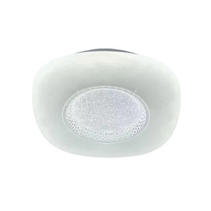 10Inc16Inch Hot Selling Bedrooms Kitchens Round Flush Mount Ceiling Lamp Fixture Dimming Led Ceiling Light