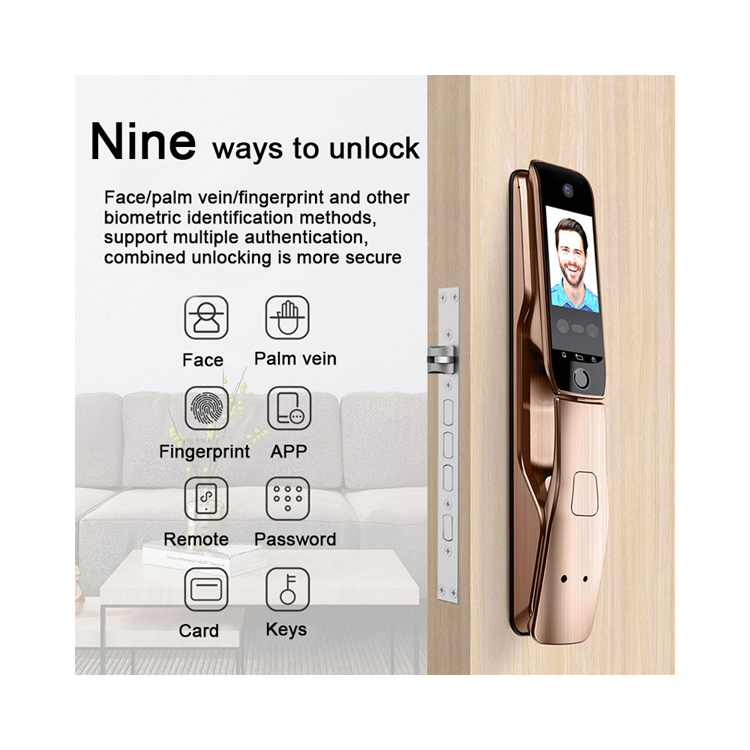 Fully Automatic Face Recognition Apartment Smart Locks Indoor For Front Door With Camera