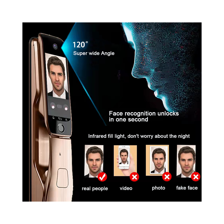 Fully Automatic Face Recognition Apartment Smart Locks Indoor For Front Door With Camera