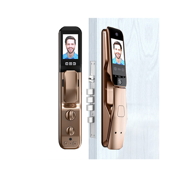 High Security Anti Theft Fully Automatic Smart Homekit Security Door Lock Wifi With 3D Face Recognition