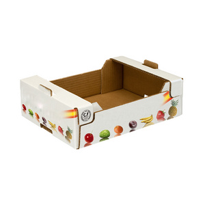 specialized strong fresh fruit box  tomato cherry cardboard carton box for fruit and vegetable