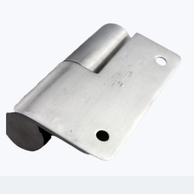 Wholesale High Quality Stainless steel 304 Door closer Hinge