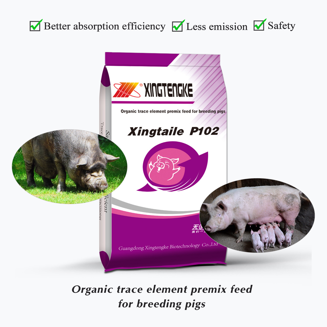 Best Quality Nutrition Supplement Pig Feed Trace Element Premix Animal Feed For Breeding Pigs