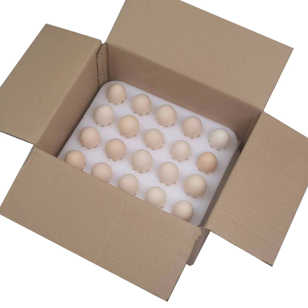 Customized white EPE foam packing for Egg insert