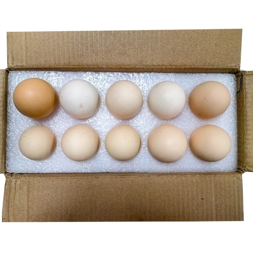 New Design EPE Foam Tray Sheet Style Packaging Foam for Egg Packing Material Protective & Cushioning Material Egg Foam Tray