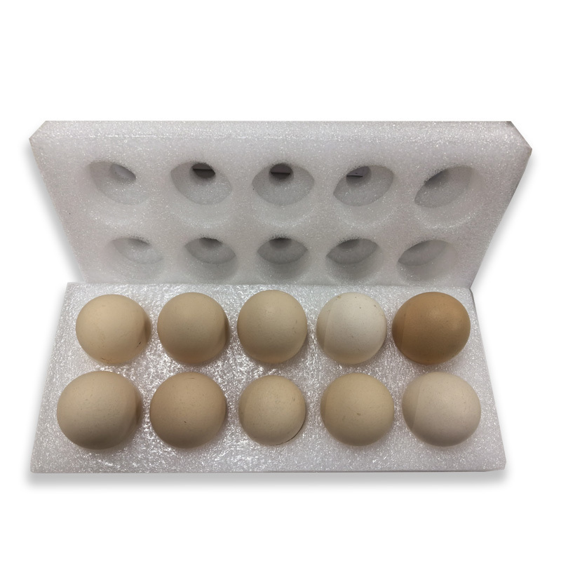 Food Contact Grade White Expanded PE Foam Egg Tray Packaging for 20 Eggs